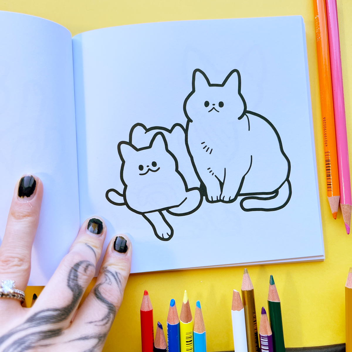 Cats | The Colouring Book Zine