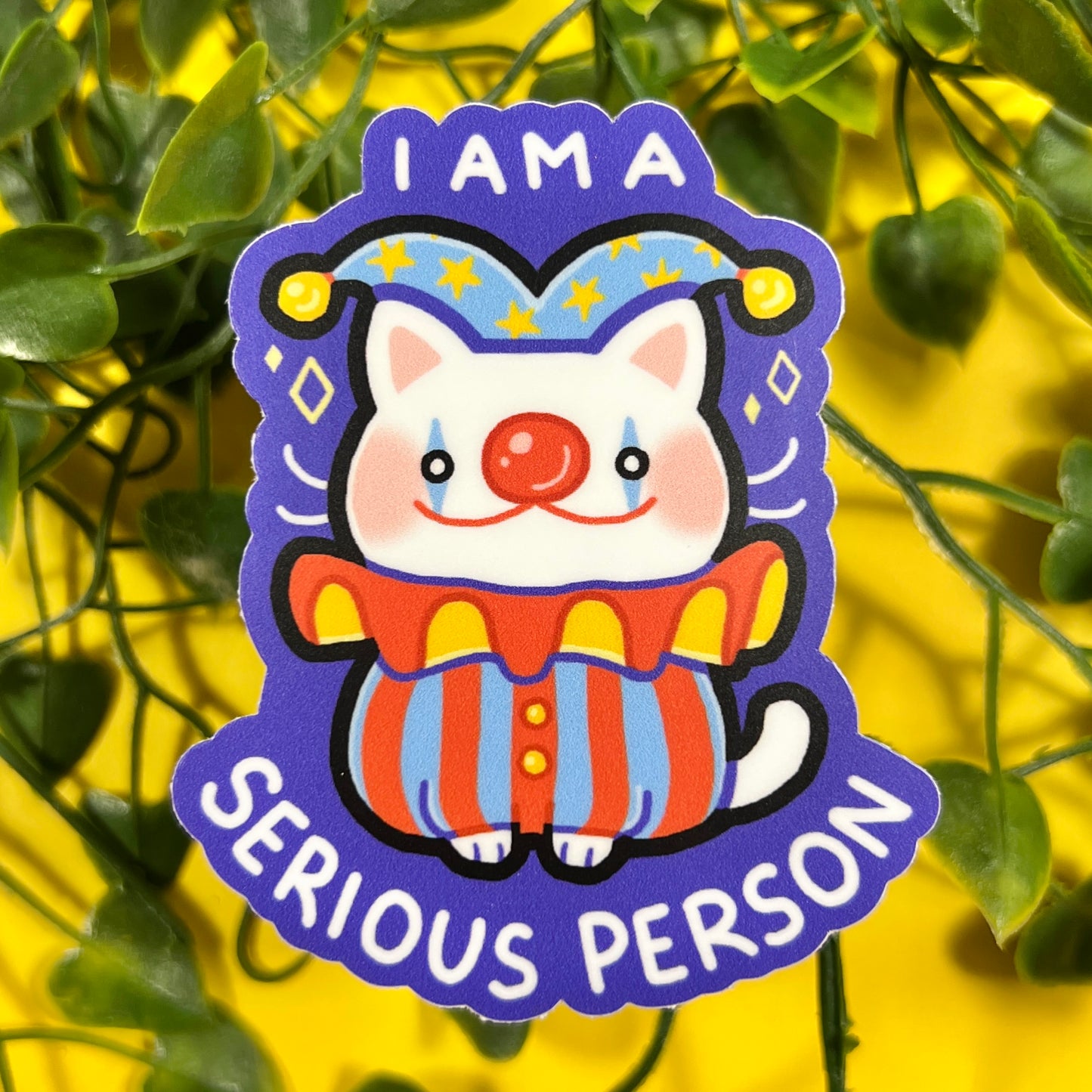 Serious Person | Vinyl Sticker