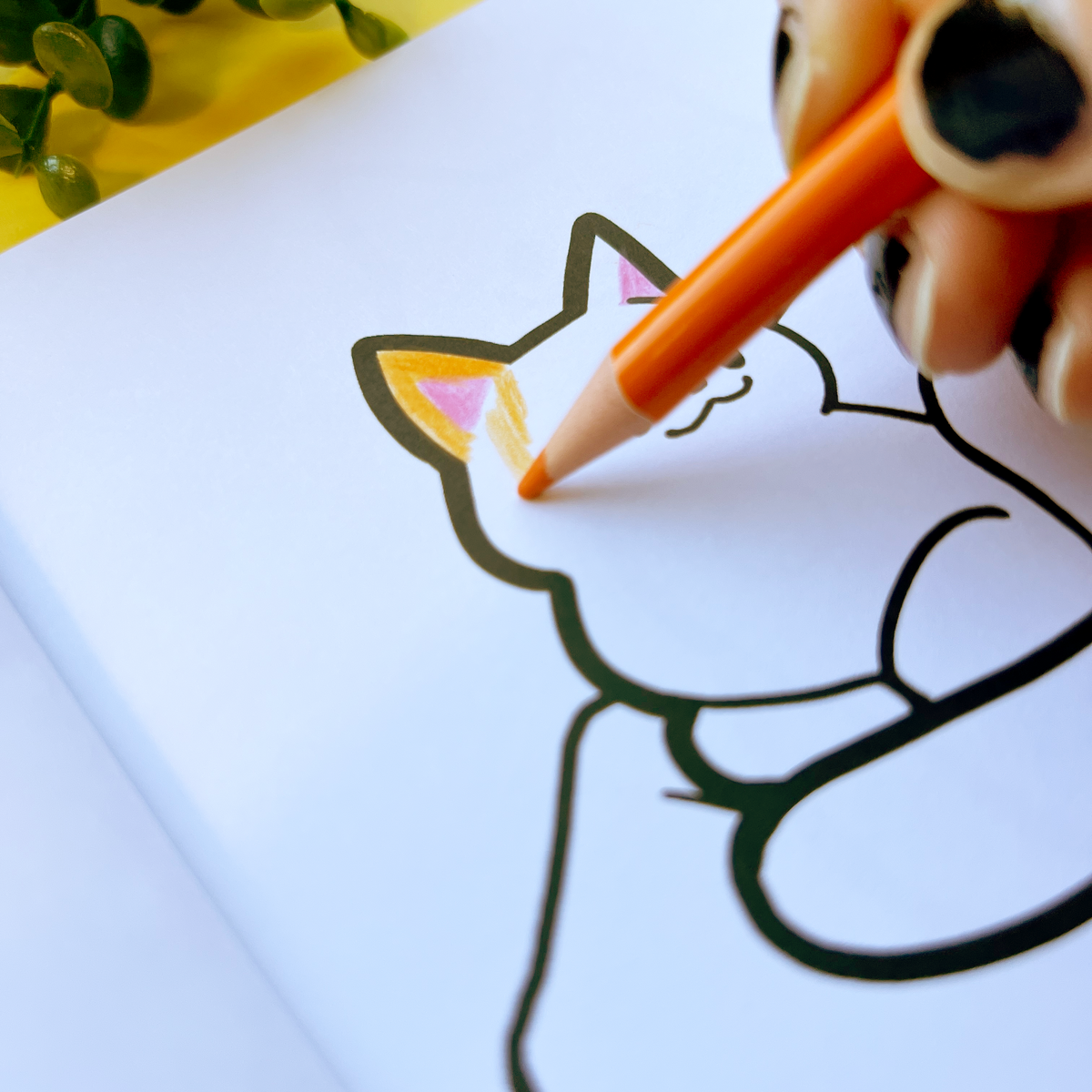 Cats | The Colouring Book Zine
